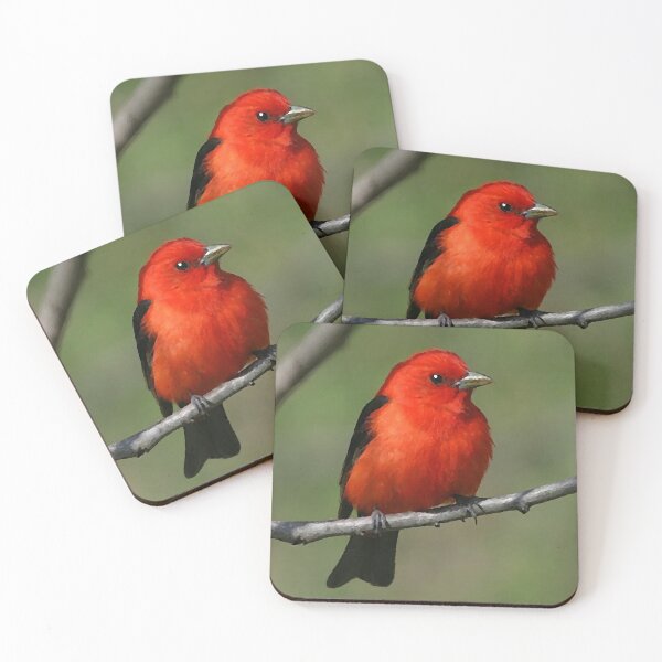 Item preview, Scarlet Tanager designed and sold by GL Digital Artwork .