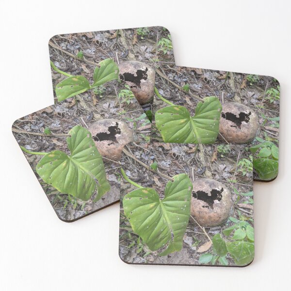 Item preview, Natural Heart Broken Coconut designed and sold by Artemischo.