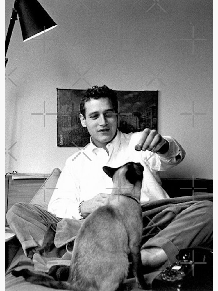 Discover Paul Newman & kitty Premium Matte Vertical Poster