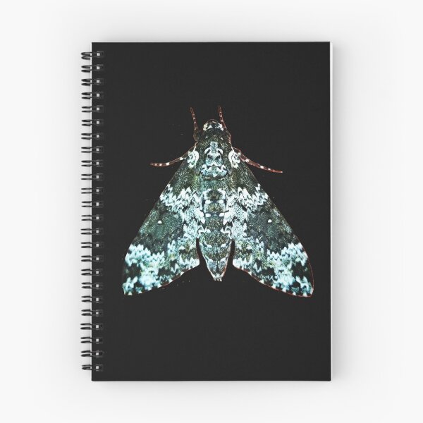 Item preview, Mother of all moths designed and sold by Dead-Moroz.