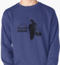 You've Gotta Be Falcon Kidding Me Pullover