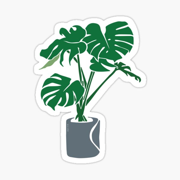 Monstera Deliciosa Sticker