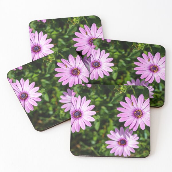 Item preview, Purple Daisies designed and sold by Cat Calhoun.