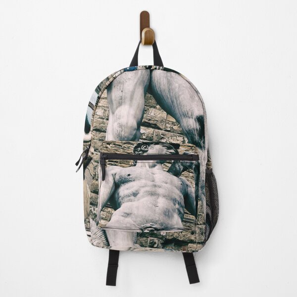 Item preview, Michelangelo's David Statue, Piazza della Signoria, Florence, Italy designed and sold by WorldLandscapes.