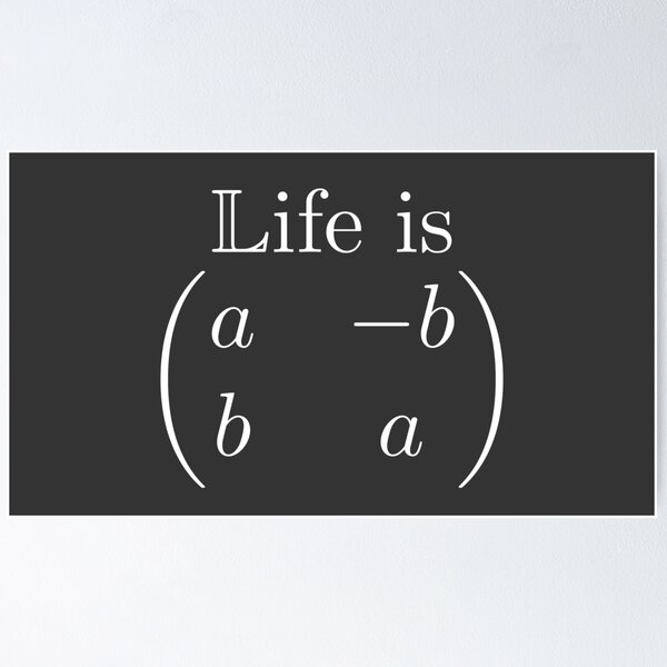 Math Is Hard So Is Life Get Over It Poster for Sale by ThreadzHero