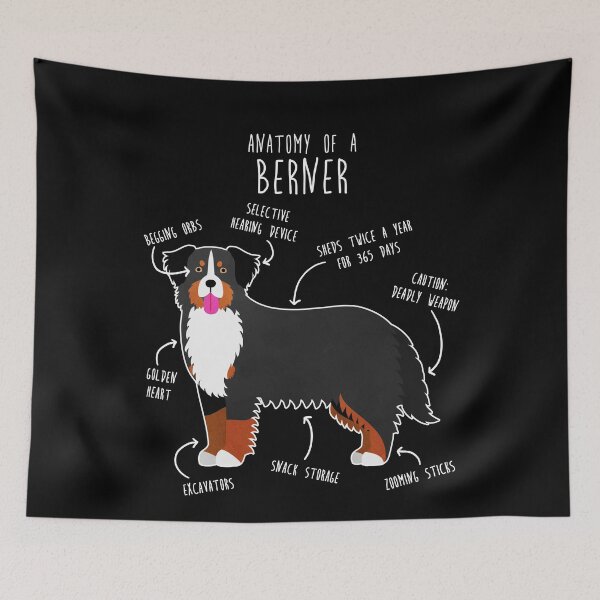 Item preview, Bernese Mountain Dog Anatomy designed and sold by Clara Hollins.