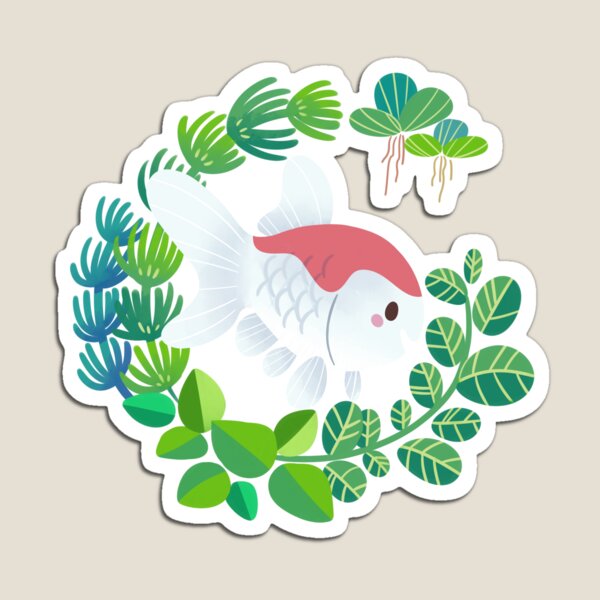 comet goldfish Magnet