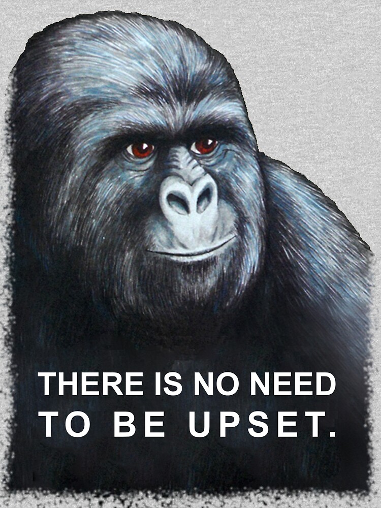 No need to stay. No need.