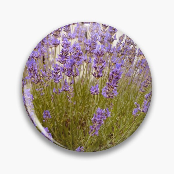 Item preview, Lavender bloom in summer designed and sold by ElmLenonn.