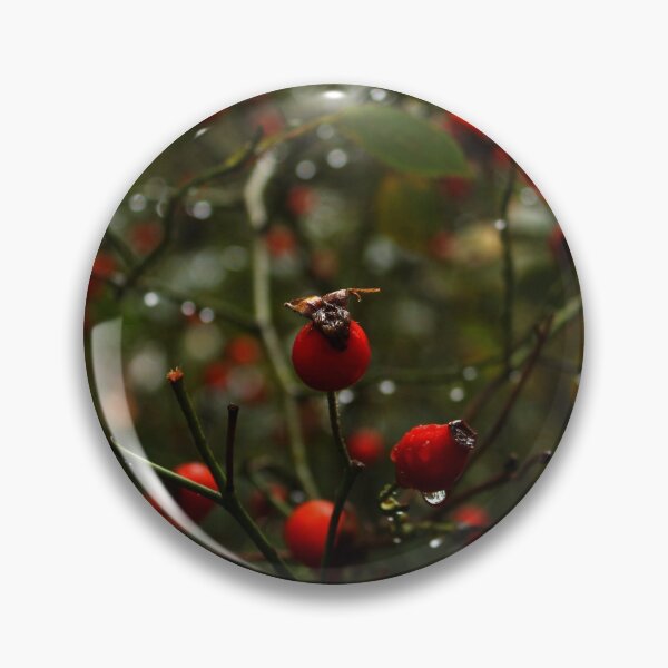 Item preview, Red Rosehip designed and sold by Asaha17.