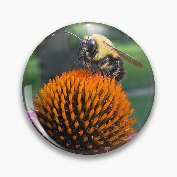 Item preview, Coneflower Bee designed and sold by JennyofArc.