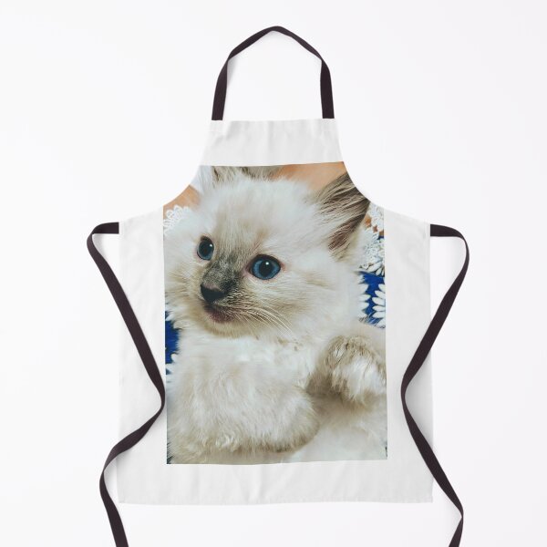 Artikelvorschau, Ragdoll Kätzchen entworfen und verkauft von Fluffycat2020.