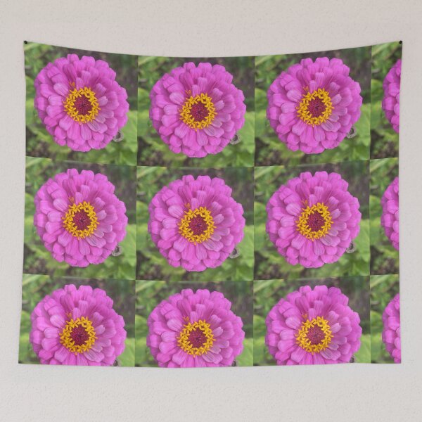 Item preview, Pink Zinnia  designed and sold by JennyofArc.