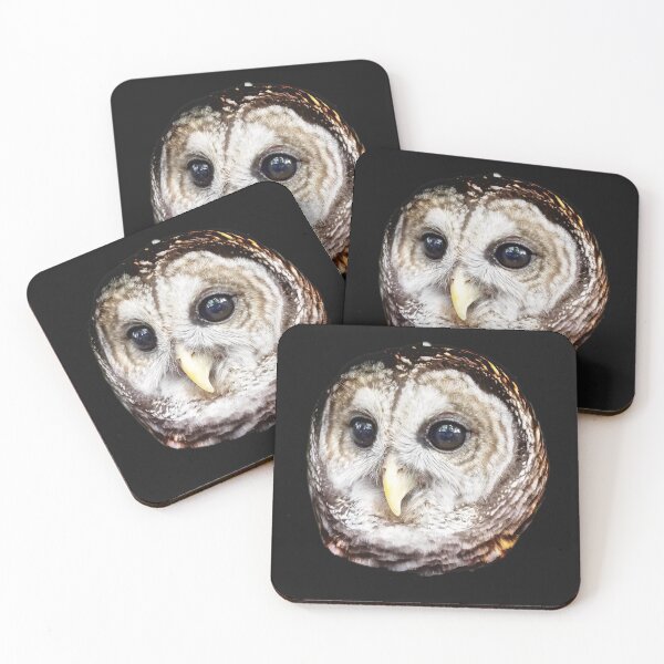 Item preview, Owl Head designed and sold by Dead-Moroz.