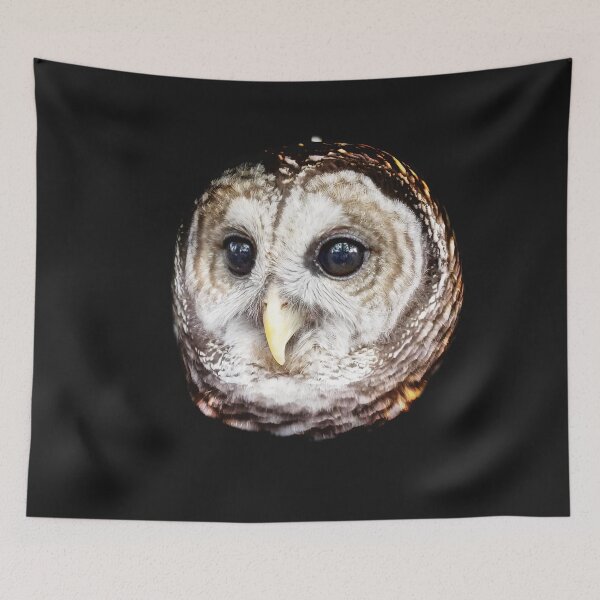 Item preview, Owl Head designed and sold by Dead-Moroz.