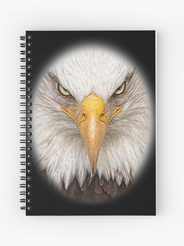 realistic eagle head drawing - Clip Art Library
