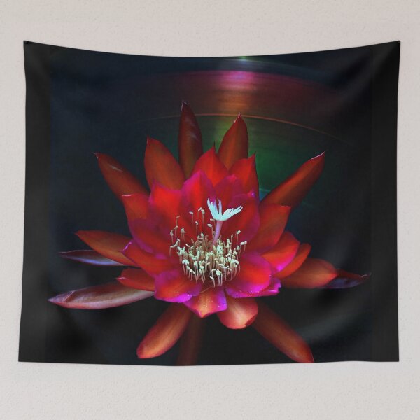 Item preview, A Shining Example designed and sold by Michael May.