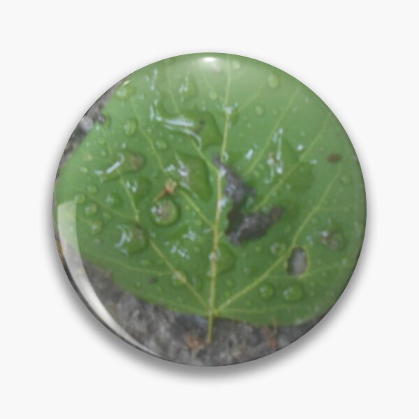 Item preview, leaf with water droplets designed and sold by SamiC06.
