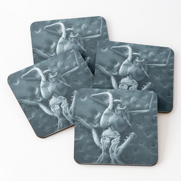 Item preview, Crushed ant designed and sold by Jess Holz.