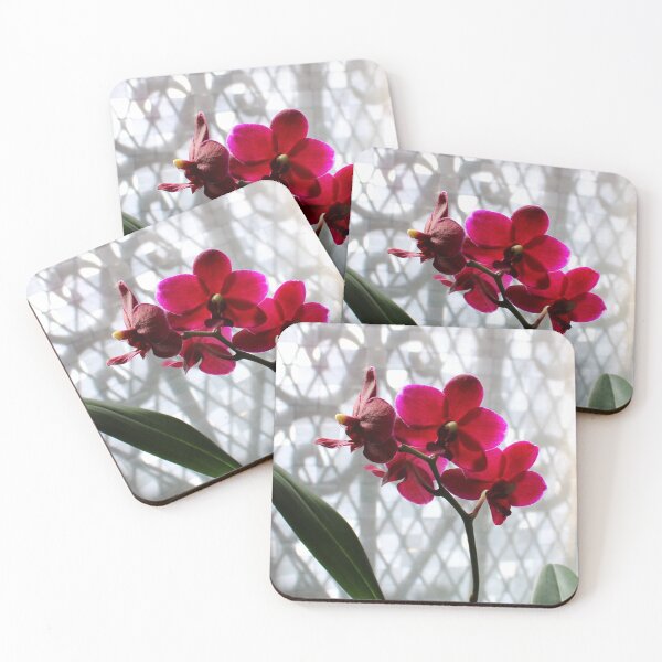 Item preview, What Light Through Yonder Orchid... designed and sold by Michael May.
