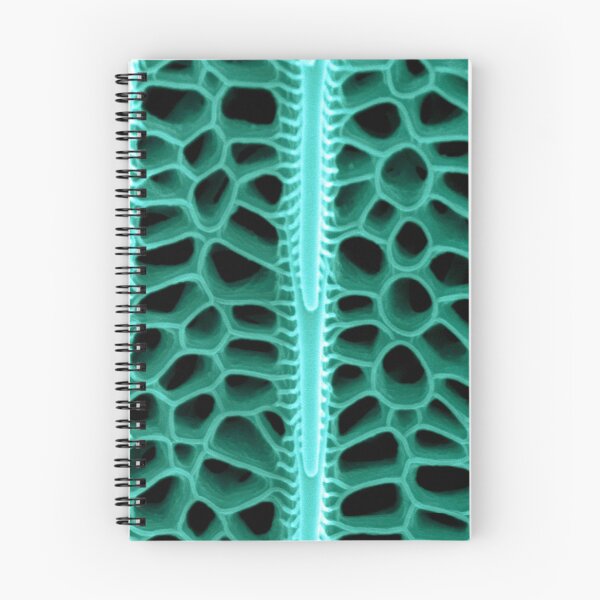 Item preview, Butterfly wing under the scanning electron microscope designed and sold by Jess Holz.