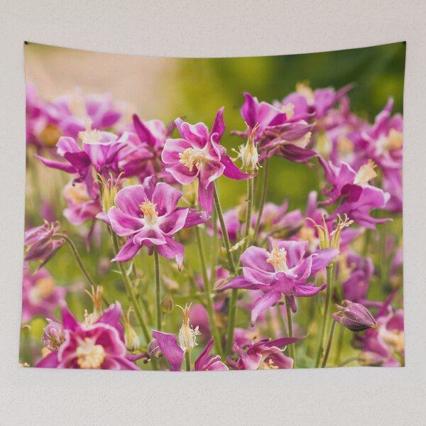 Item preview, Pink columbines blooming designed and sold by Amalus-files.