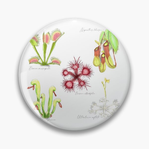 Item preview, Carnivorous Plants designed and sold by CiricexChimera.