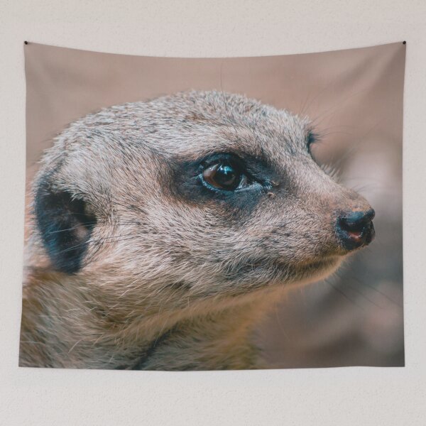 Item preview, Meerkat watching the horizon designed and sold by Michael Deemer.