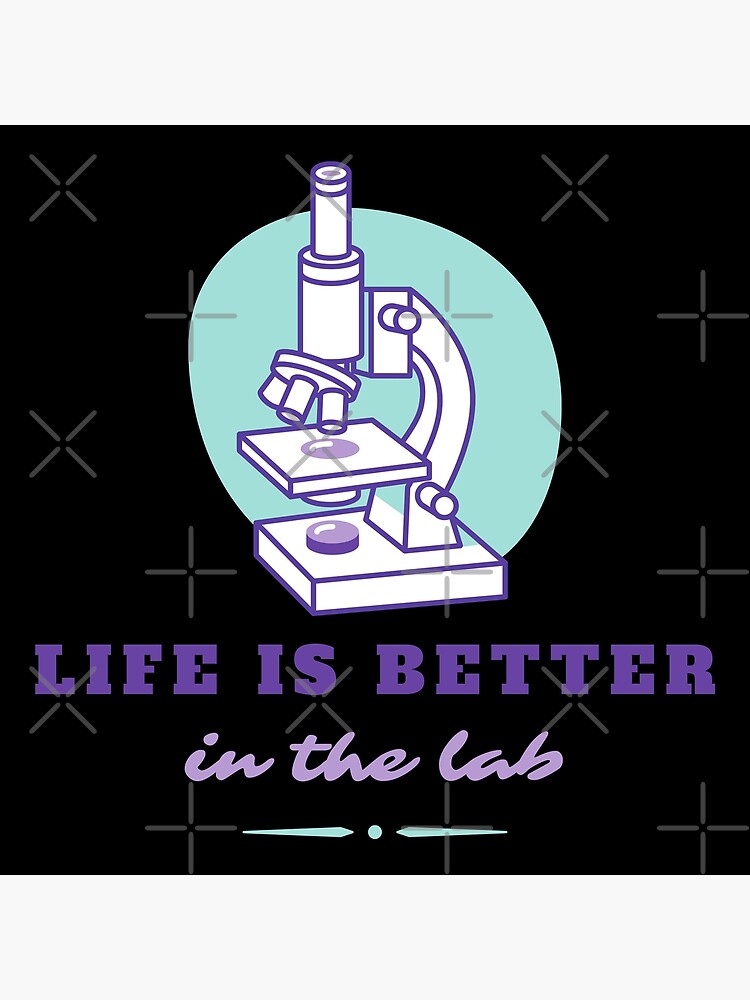 Better Life Lab