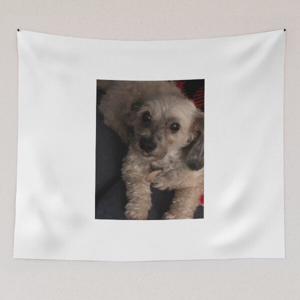 Item preview, Peek A Poo  designed and sold by lisarhea.