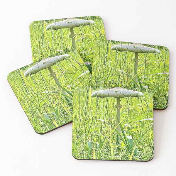 Item preview, "Toadstool" by Margo Humphries designed and sold by Margo Humphries.
