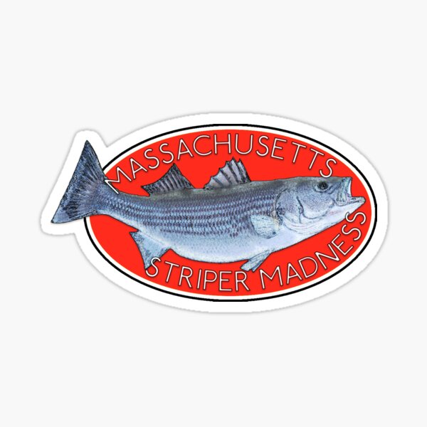 Striper Fishing Merch & Gifts for Sale