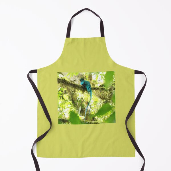 Item preview, Quetzal (the sacred bird) designed and sold by CostaRicaNature.