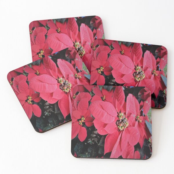 Item preview, RED CHRISTMAS POINSETTIA  FLOWER designed and sold by Coolklaset.