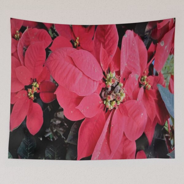 Item preview, RED CHRISTMAS POINSETTIA  FLOWER designed and sold by Coolklaset.