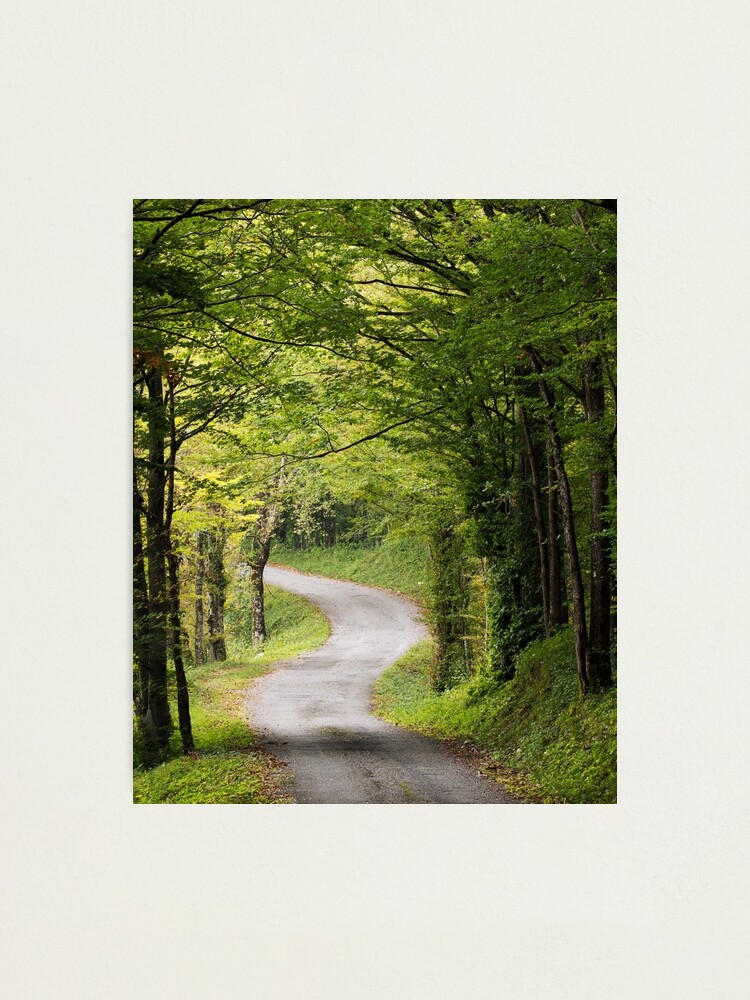 Thumbnail 1 of 3, Photographic Print, The road under the trees designed and sold by patmo.