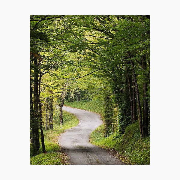 Photographic Print