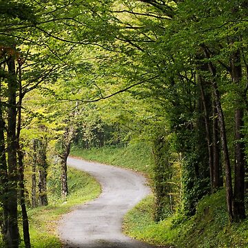 Artwork thumbnail, The road under the trees by Patrick Morand