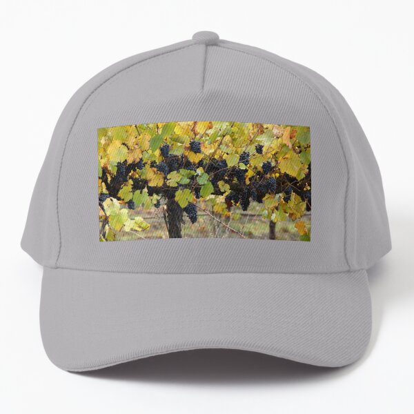 Fruity - Magpie Springs - Adelaide Hills Wine Region - Fleurieu Peninsula by South Australian artist Avril Thomas Baseball Cap