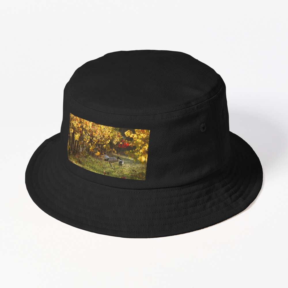 Item preview, Bucket Hat designed and sold by MagpieSprings.