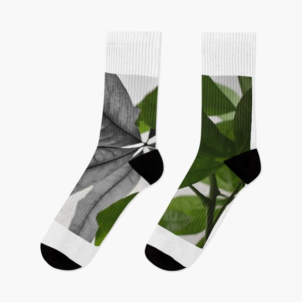 Item preview, Contrast Nature Leaves  designed and sold by jaekindacray.