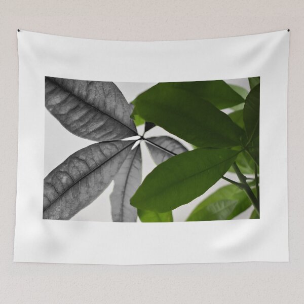 Item preview, Contrast Nature Leaves  designed and sold by jaekindacray.