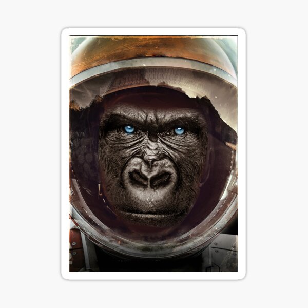 Ecco Sticker