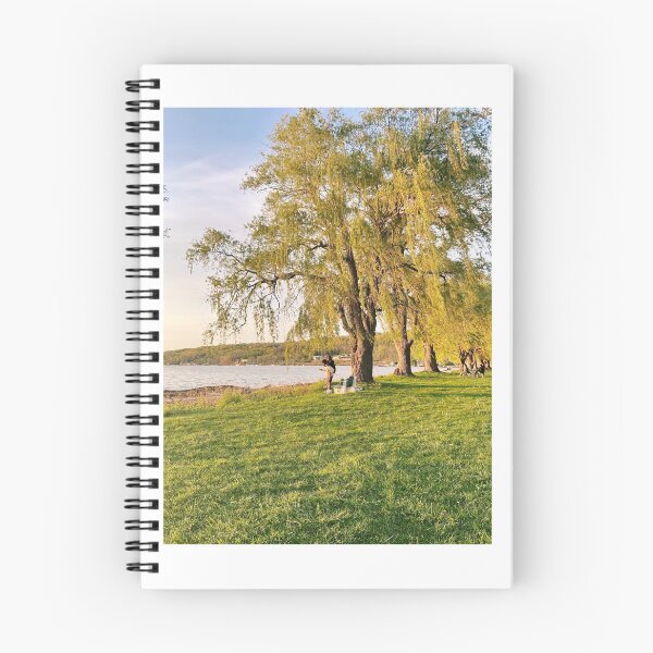 Item preview, Stewart Park at Golden Hour designed and sold by laurelprime.