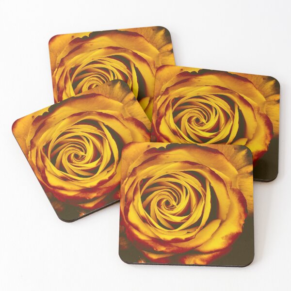 Item preview, Closeup Orange Color Rose  designed and sold by kasthu.