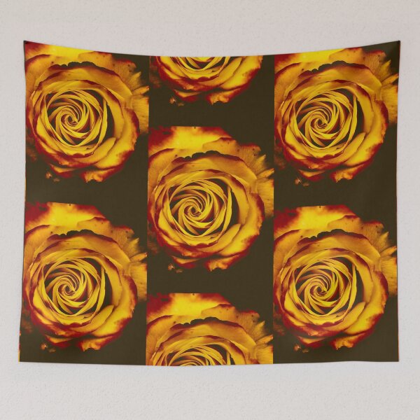 Item preview, Closeup Orange Color Rose  designed and sold by kasthu.