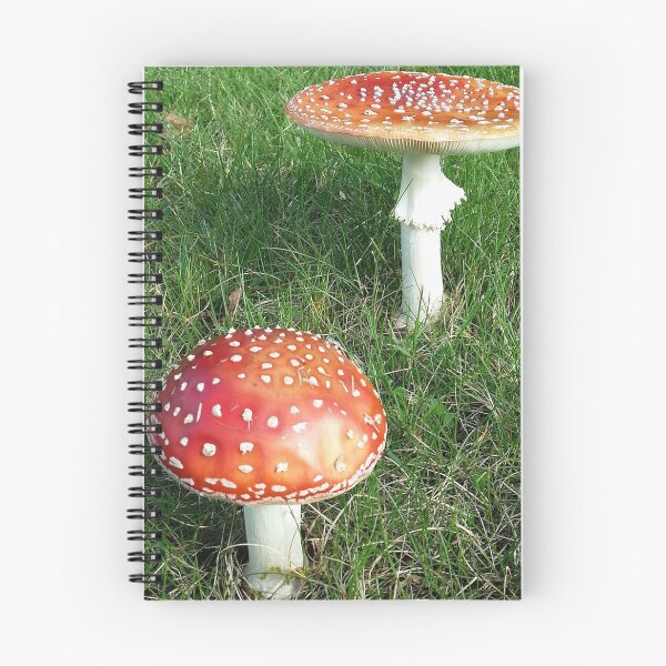 Item preview, Awesome Real Mushrooms  designed and sold by Farid1Shop.