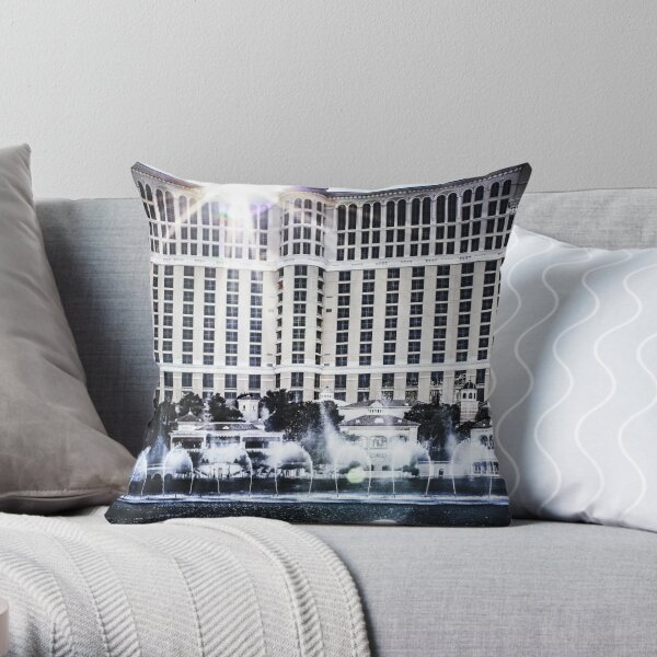 https://ih1.redbubble.net/image.25508295.1437/throwpillow,small,600x-bg,f8f8f8-c,0,120,600,600.u4.jpg