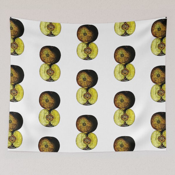Item preview, newton's infinite fruit of cosmic indolence designed and sold by titus toledo.