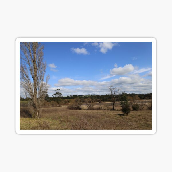 Low tide at Lake Narracan Sticker